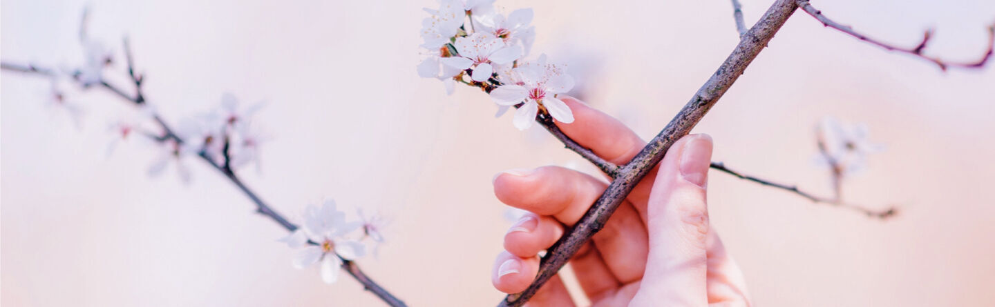 ภาพขนาดย่อ